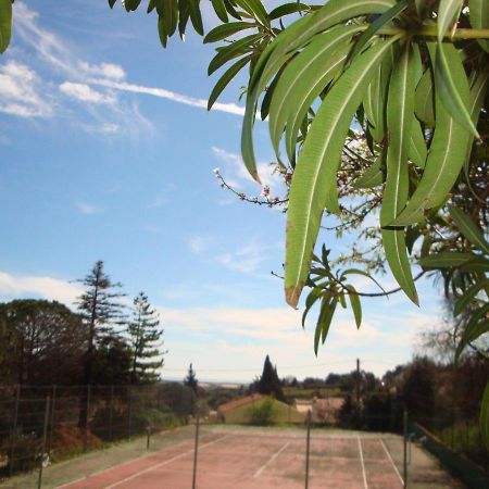 Leucate,Dans La Verdure,Studio Caverne En Pierre Dans Propriete Securisee Apartment Luaran gambar